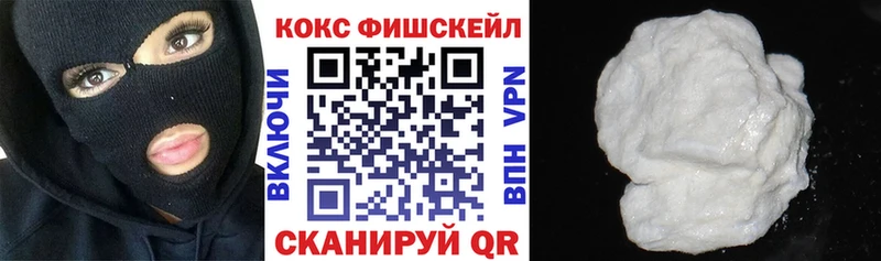 COCAIN Fish Scale  хочу   Томск 