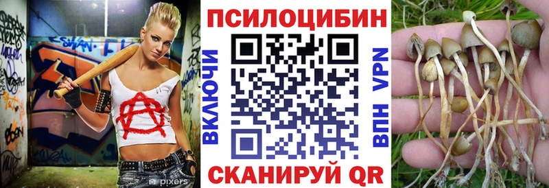 Псилоцибиновые грибы Psilocybine cubensis  omg рабочий сайт  Томск 
